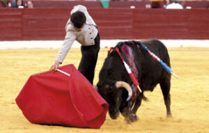 (Foto: Guillermo Lorente)