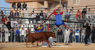 Casta Valenciana fomenta la afición entre los más pequeños