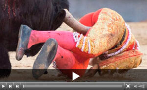 (Foto: Javier Arroyo)