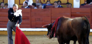 (Foto: Arjona)