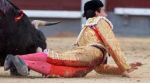 (Foto: Javier Arroyo)