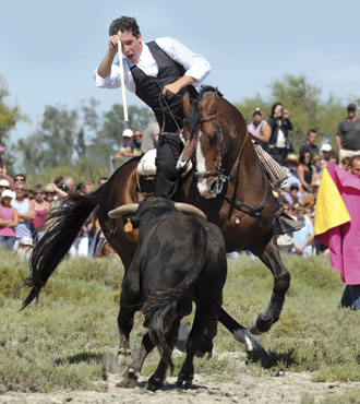 Continúa la dinastía