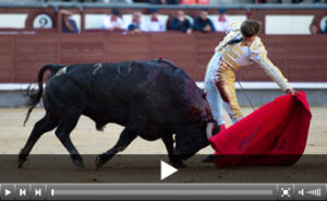 (Foto: Javier Arroyo)