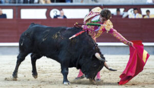 (Foto: Javier Arroyo)
