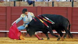(Foto: Arjona)