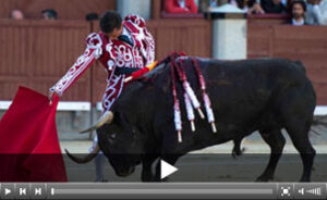 (Foto: Javier Arroyo)