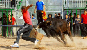 (Foto: Torodigital)