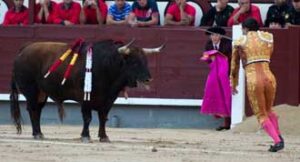 (Foto: Javier Arroyo)