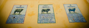 (Foto: www.plazadetorosdejerez.es)