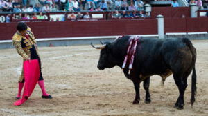 (Foto: Javier Arroyo)