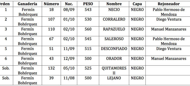 Los de Bohórquez para el primer duelo Hermoso-Ventura