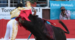 (Foto: Daniel Chicot)