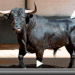 (Foto: las-ventas.com)