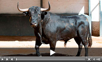 (Foto: las-ventas.com)