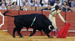 (Foto: Arjona)