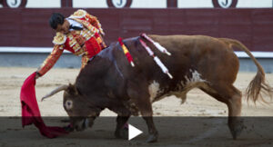 (Foto: Javier Arroyo)