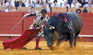 (Foto: Arjona)