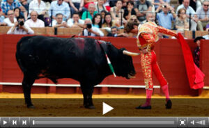 (Foto: Arjona)