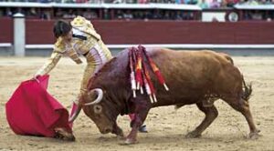 (Foto: Javier Arroyo)