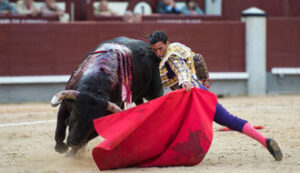 (Foto: Javier Arroyo)