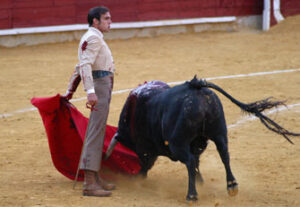 Emilio Huertas con Pintor, nº 196, de Fuente Ymbro. (Foto: J.C. Sánchez)