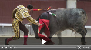 (Foto: Javier Arroyo)