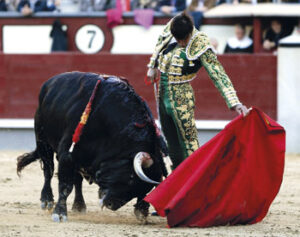 (Foto: Arjona)