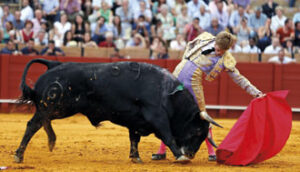 (Foto: Arjona)