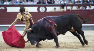 (Foto: Javier Arroyo)