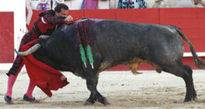 Rafaelillo, entrando a matar a un miura en Nimes.