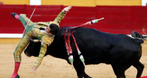 (Foto: Arjona)