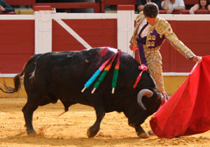 (Foto: Emilio Méndez)