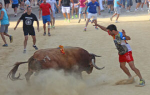 (Foto: Álex Galcerá)
