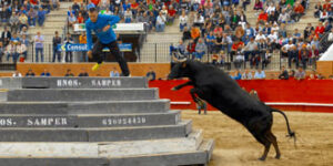 (Foto: Torodigital)