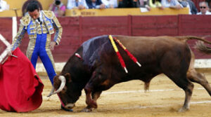 (Foto: Arjona)