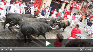 (Foto: www.sanfermin.com)
