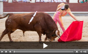 (Foto: Alberto de Isidro)