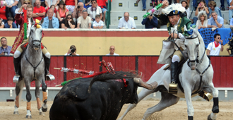 La familia Telles triunfa en Vila Franca de Xira
