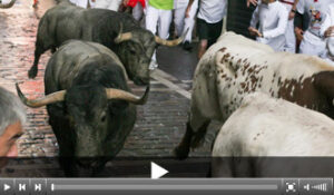 (Foto: www.sanfermin.com)