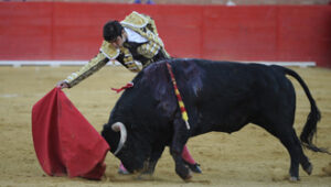 (Foto: Juan Francisco Bascón)