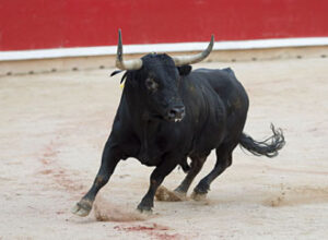 (Foto: Javier Arroyo)