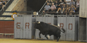 (Foto: Rullot)