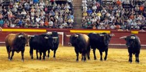 La corrida de Las Ramblas fue desencajonada este martes.