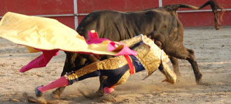 Jorge Expósito, sin fiebre pero con molestias