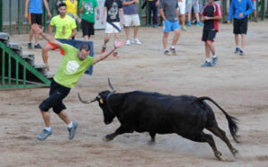 (Foto: Rullot)