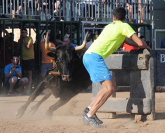 La Espuela, ganadería triunfadora de la Semana Taurina de Puçol