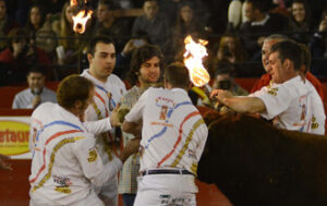 (Foto: A. Pita)