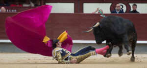 (Foto: J. Arroyo)