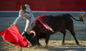 (Foto: Javier Arroyo)