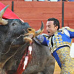 Rafaelillo volverá a matar la miurada en Villanueva.